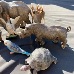 schleichの動物セットの画像