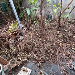 草の処分の画像