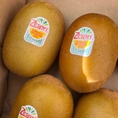 ゴールドキウイフルーツ10個の画像