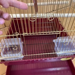 鳥かごの画像