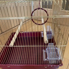 鳥かごの画像
