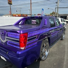 ショーカー⭐️アバランチ⭐️カスタムペイント⭐️の画像