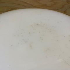 まな板　中華料理　超特大　直径41cm 幅8.5cmの画像