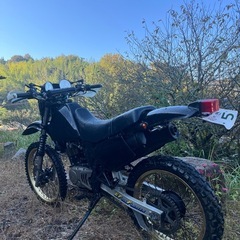 スズキ　SX200R  シェルパ　セロー　燃費25キロ　自賠責令和9年3月の画像