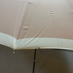 かわいい傘の画像