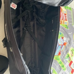 決定しております🙇‍♀️キャリーバッグの画像