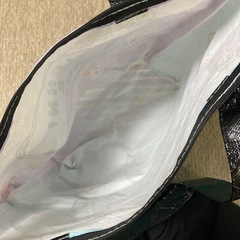 ビニールバッグの画像