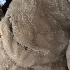 こたつ&こたつ掛け布団の画像