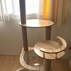 キャットタワーの画像