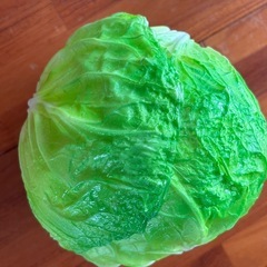 白菜 ✨食品サンプルの画像