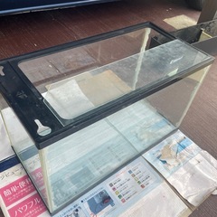 60センチ　水槽　の画像