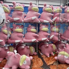 ☀️若者の御言葉の勉強仲間を募集中〜🌈