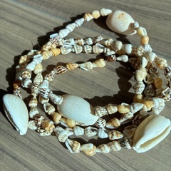 貝殻ネックレスの画像