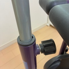 レッグマジックXの画像