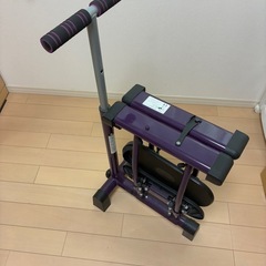 レッグマジックXの画像