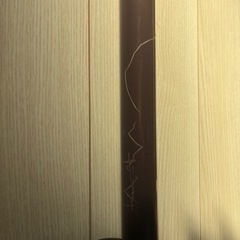 突っ張り棒 カバン&コートかけ掛けの画像