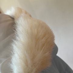 nuコート　150センチの画像