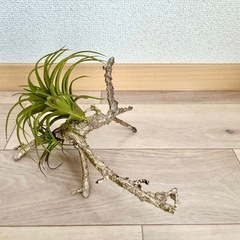 クラッシュゲート購入　フェイクグリーンの画像