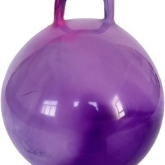 ハンドル付きバランスボールの画像