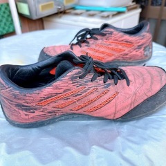 まだはける履けるMIZUNOの安全靴　26cmの画像