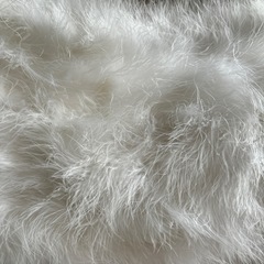 成人式のショールー無料でお譲りします。の画像