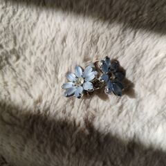 イヤリングの画像