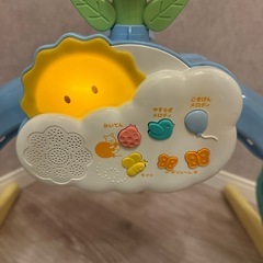 プーメリーの画像