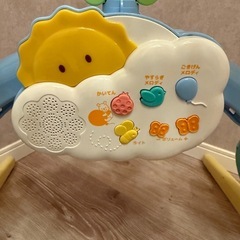 プーメリーの画像