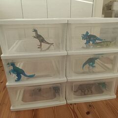 チェスト使う方いたらお譲りします！（写真の恐竜はなし）の画像