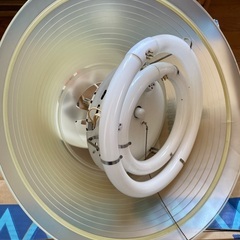 電気の傘の画像