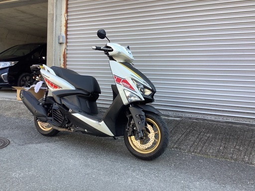 シグナスグリファス　WGPアニバーサリーモデル