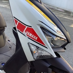 シグナスグリファス　WGPアニバーサリーモデルの画像