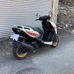 シグナスグリファス　WGPアニバーサリーモデルの画像