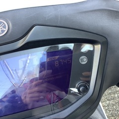 シグナスグリファス　WGPアニバーサリーモデルの画像