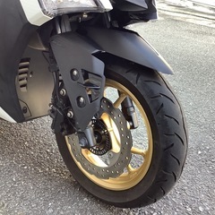 シグナスグリファス　WGPアニバーサリーモデルの画像