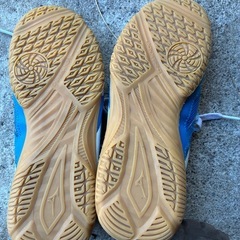 ミズノ　卓球シューズ　22.0cmの画像