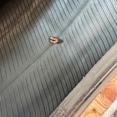 215/55R17 スタッドレス 2019年製 7部山 ブリジストン ブリザック VRX2 組み替え作業も承ります　の画像