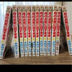 月のお気に召すまま　全13巻　美品　木内ラムネの画像