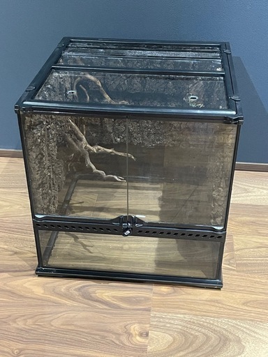 中古のガラステラリウム