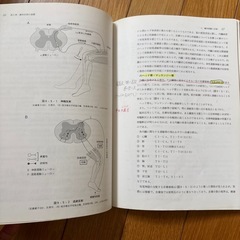 はりきゅう理論の画像