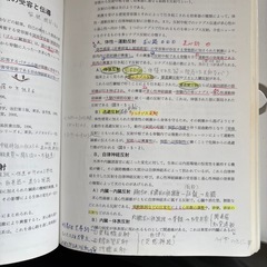 はりきゅう理論の画像