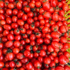野菜　訳あり　ミニトマト　200g 100円　割れ　ひび　煮込み料理などにの画像