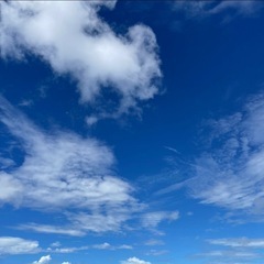 「有り難うございました。」貝のようなお皿　４枚の画像