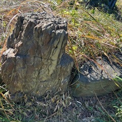 庭石　引き取り限定の画像