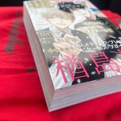 ビーボーイ　12月号　付録付きの画像
