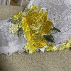 ワコールサルート　Ｅ７０の画像