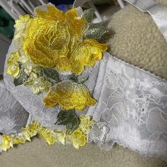 ワコールサルート　Ｅ７０の画像