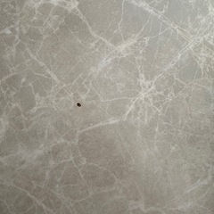 丸テーブル ダイニングの画像