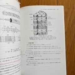 リハビリテーション医学の画像