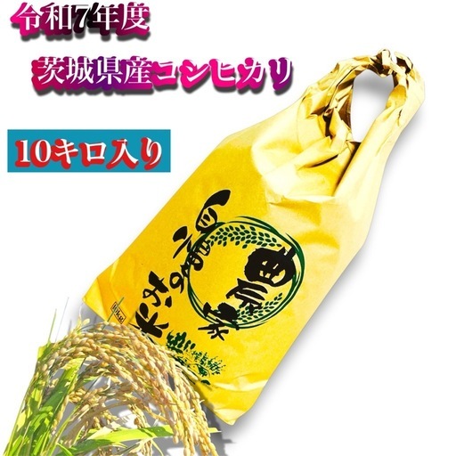 58令和7年度茨城県コシヒカリ新米になります。大人気商品となっております。10キロ入りです。コメントお待ちしております。